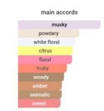 نارسیس رودریگز فور هر (مشکی) زنانه - تصویر 6