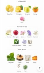 شیسیدو زن زنانه (Shiseido Zen) - تصویر 5