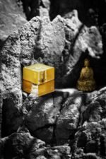 شیسیدو زن زنانه (Shiseido Zen)