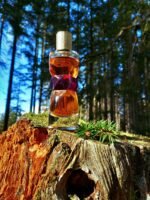 ایو سن لورن منیفستو زنانه - تصویر 3