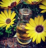 کارتیر لنئول د کارتیر مردانه - تصویر 4