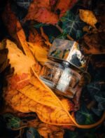 ایو سن لورن لهوم مردانه