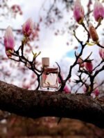 باربری هر زنانه - تصویر 3