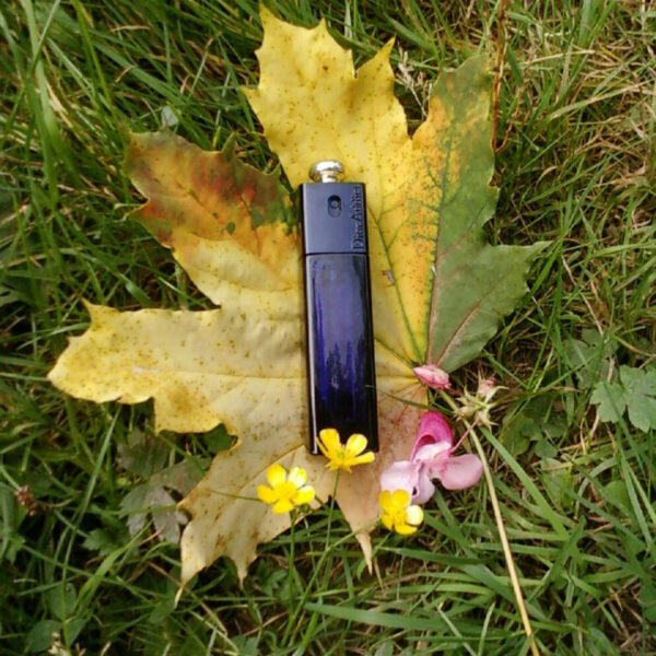 دیور ادیکت زنانه