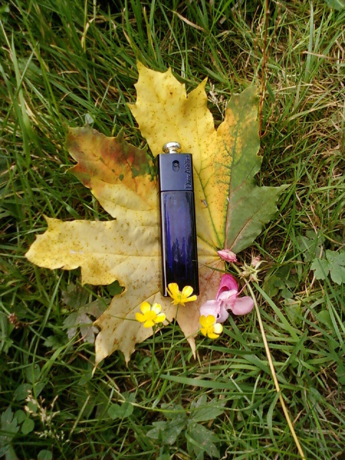 FjNi5FhAt0AFNkOL دیور ادیکت زنانه - تصویر 1