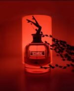 ژان پل گوتیه اسکندل زنانه - تصویر 3