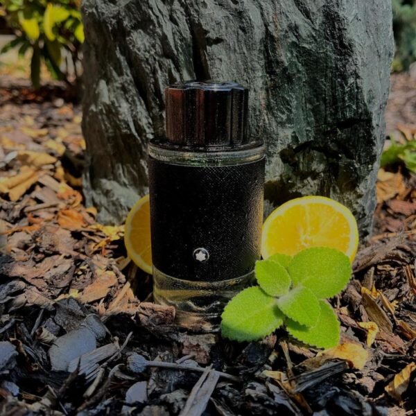 مون بلان اکسپلورر مردانه