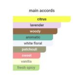 گوچی گیلتی مردانه - تصویر 5