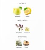 دیویدف چمپیون مردانه - تصویر 4