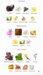 تام فورد بلک ارکید مردانه و زنانه - تصویر 5