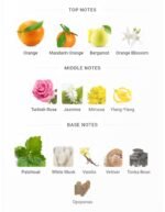 شنل کوکو مادمازل زنانه - تصویر 4