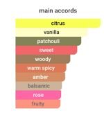 شنل کوکو مادمازل اینتنس زنانه - تصویر 5