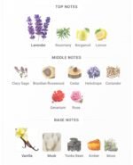 کارون پوران هوم (عطر شاه) مردانه - تصویر 5