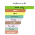 دیور ساواج (سواژ) مردانه - تصویر 6