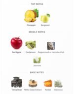 مون بلان لجند اینتنس مردانه - تصویر 4