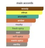 مون بلان اکسپلورر مردانه - تصویر 6