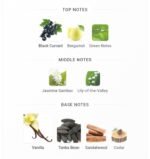 ایو سن لورن منیفستو زنانه - تصویر 5