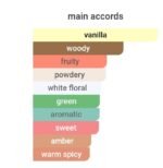 ایو سن لورن منیفستو زنانه - تصویر 6