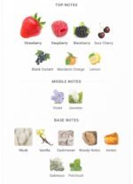 باربری هر زنانه - تصویر 5