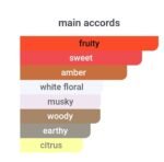 باربری هر اینتنس زنانه - تصویر 4