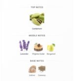 ایو سن لورن لانویت د لهوم مردانه - تصویر 4