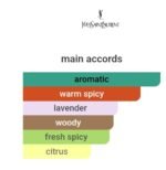 ایو سن لورن لانویت د لهوم مردانه - تصویر 5