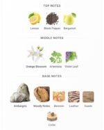 ایو سن لورن لهوم پرفیوم اینتنس مردانه - تصویر 4