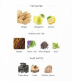 ایو سن لورن لهوم مردانه - تصویر 4