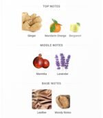 هوگو باس د سنت مردانه - تصویر 4