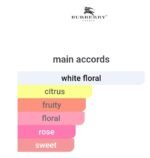 باربری لندن زنانه - تصویر 5