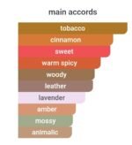 باربری لندن مردانه - تصویر 5