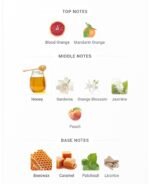 ژان پل گوتیه اسکندل زنانه - تصویر 5