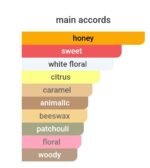 ژان پل گوتیه اسکندل زنانه - تصویر 6