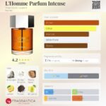 ایو سن لورن لهوم پرفیوم اینتنس مردانه - تصویر 2