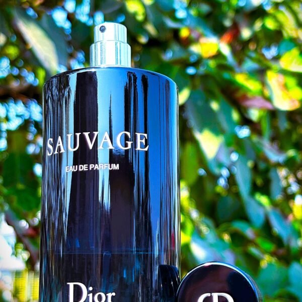 دیور ساواج (سواژ) ادوپرفیوم مردانه