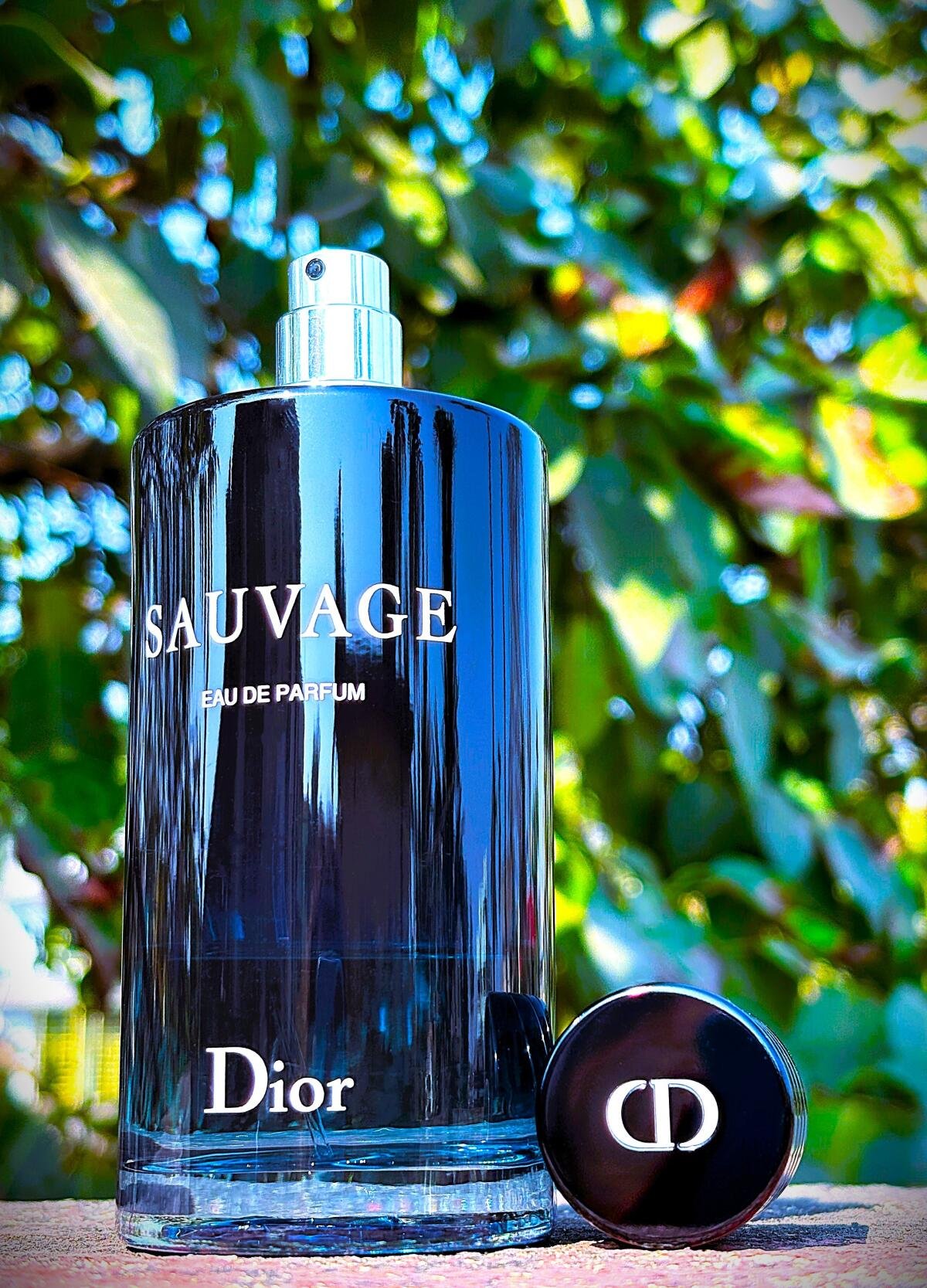 fRTu2Vuh58GmJ9ss دیور ساواج (سواژ) ادوپرفیوم مردانه - تصویر 1